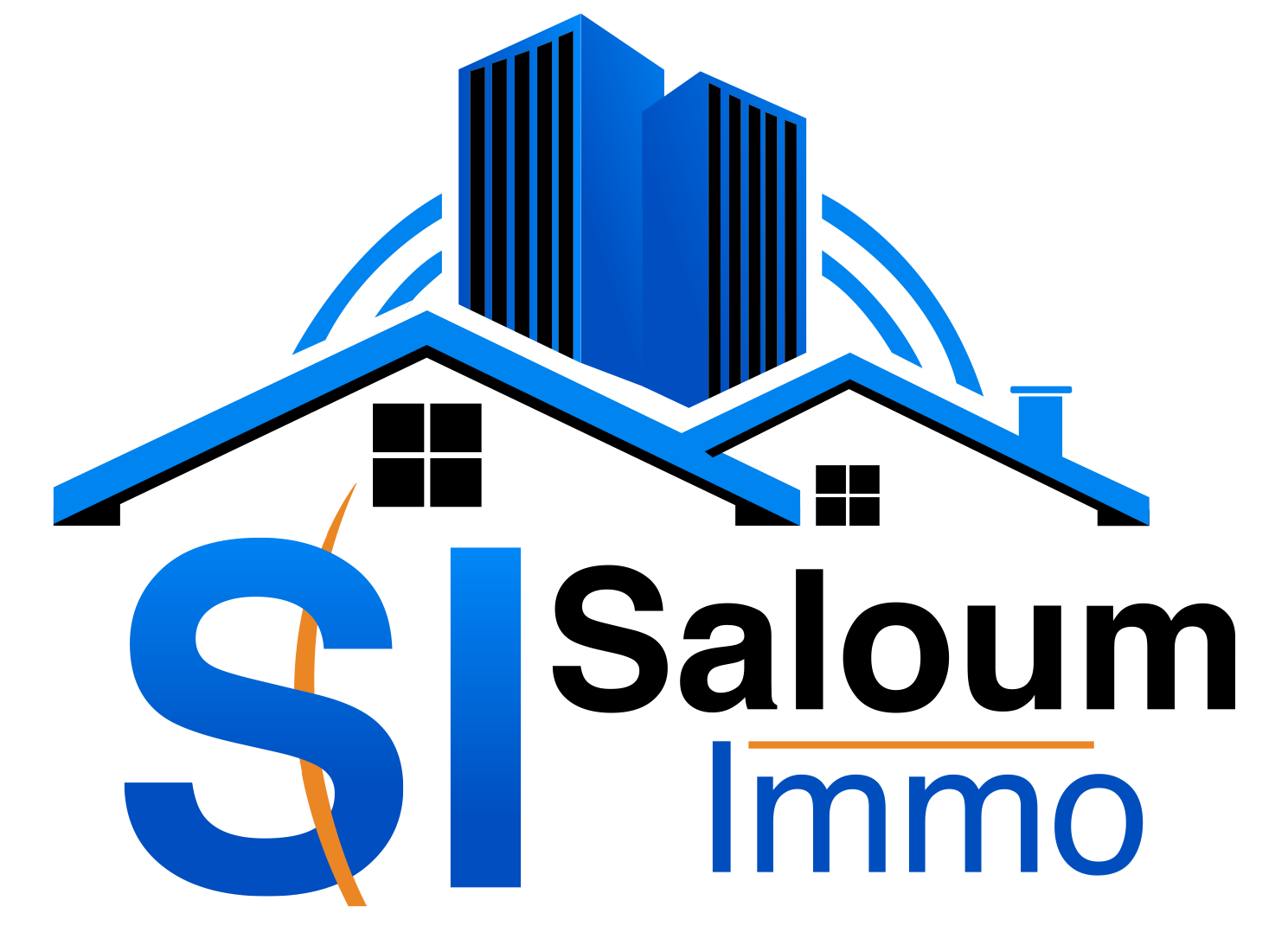 logo saloum immo last version